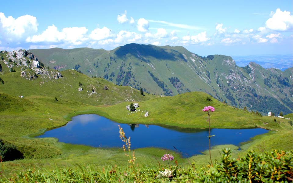 Vacances montagne Morzine